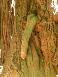p2070727r