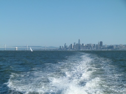 p2360772