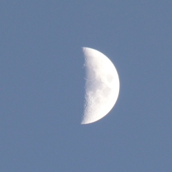 p2330722c