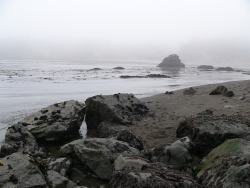 p1130744