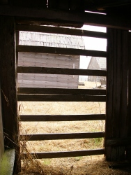 p1130755r
