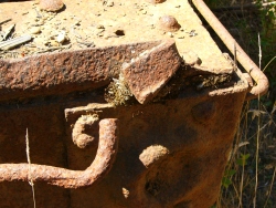 p1130773