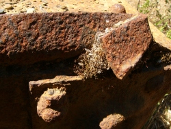 p1130774