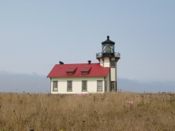 p1190694