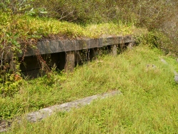 p1190713