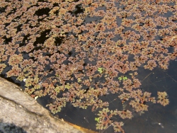 p1190718