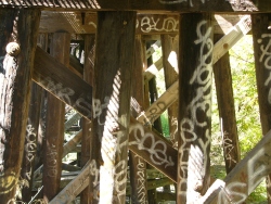 p1290747