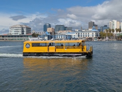 pxl20250910220859819