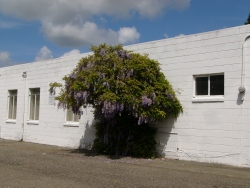 p1170765