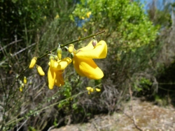 p2350310