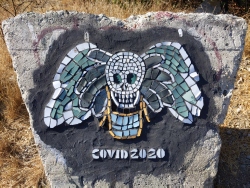 pxl20210811235013323