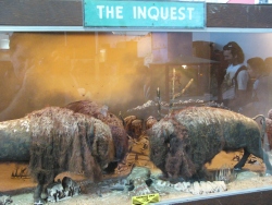 p1010673