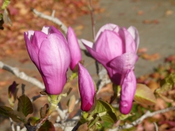 p2320359