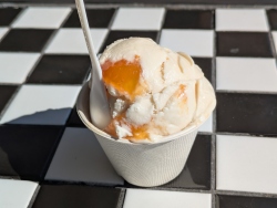 pxl20260311222031589