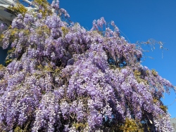 pxl20260311230750378