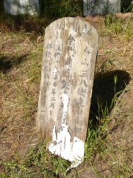 p1100576r