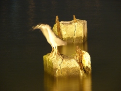p1100633