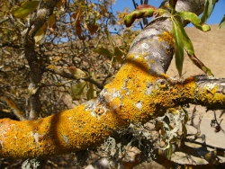 p1140444