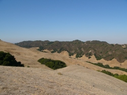 previous