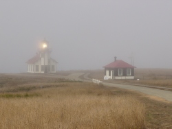 p1130832