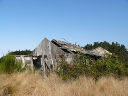 p1130851