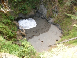p1130871