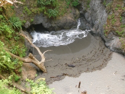 p1130873