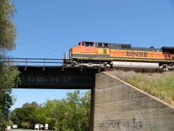p1210499