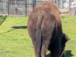 pxl20251212195852434