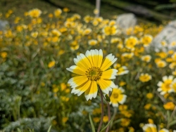 pxl20260212181403731