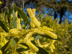 pxl20260212184043017