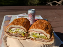 pxl20260212192924315