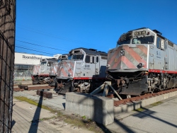 pxl20250112190548290