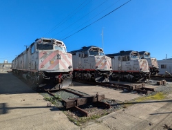 pxl20250112190723095