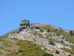 p1060269