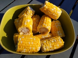 pxl20210611011203904