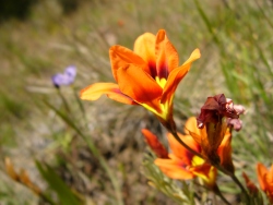 p1210540
