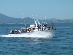 p2240539