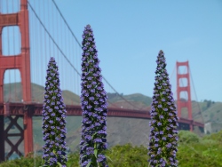 p2240567