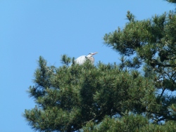 p2370754