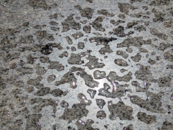 pxl20260413184315427