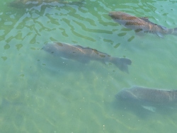 pxl20260413204142461