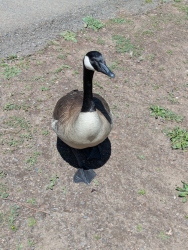 pxl20260413204217097