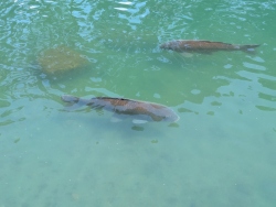 pxl20260413204244388