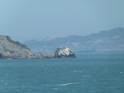 p2080653