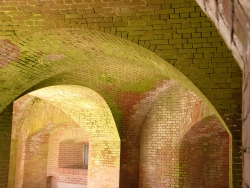 p1200807