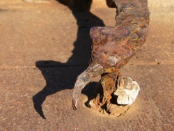 p1200818