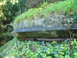 p1200869