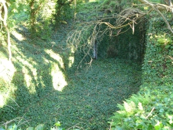 p1200871