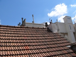p1000226